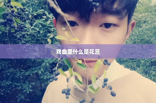 戏曲里什么是花旦
