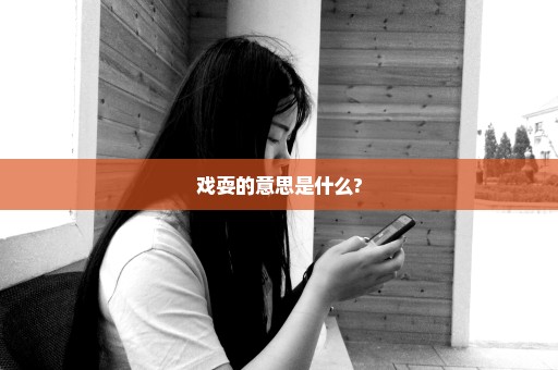 戏耍的意思是什么?