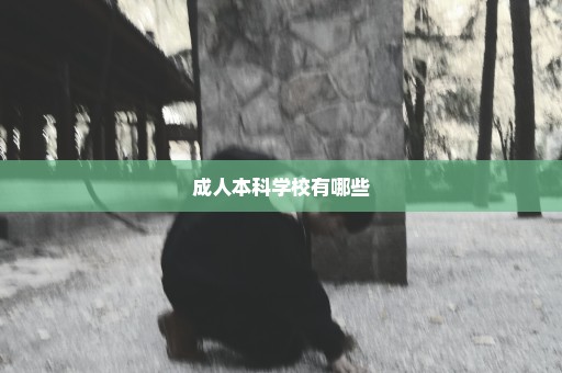 成人本科学校有哪些