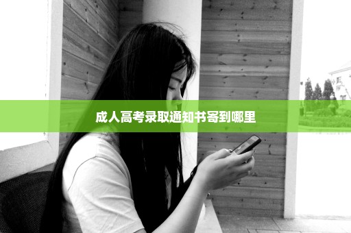 成人高考录取通知书寄到哪里
