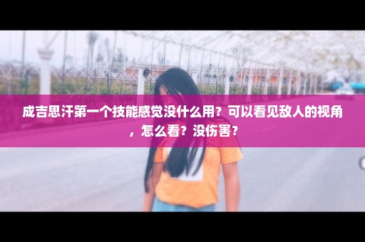 成吉思汗第一个技能感觉没什么用？可以看见敌人的视角，怎么看？没伤害？