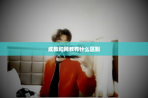 成教和网教有什么区别
