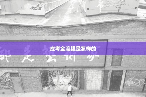 成考全流程是怎样的