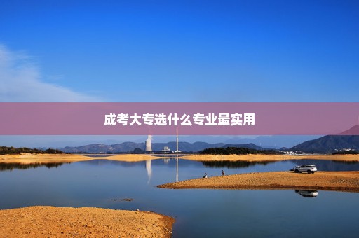 成考大专选什么专业最实用
