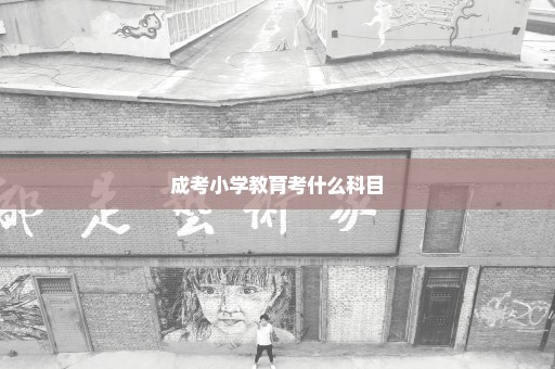 成考小学教育考什么科目