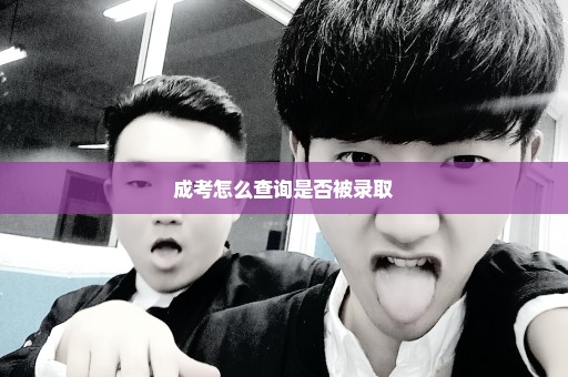 成考怎么查询是否被录取