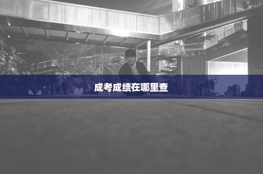 成考成绩在哪里查