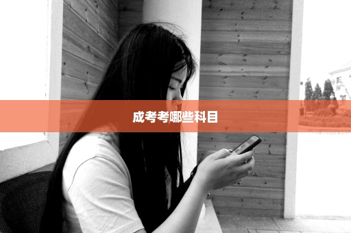 成考考哪些科目