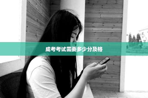 成考考试需要多少分及格
