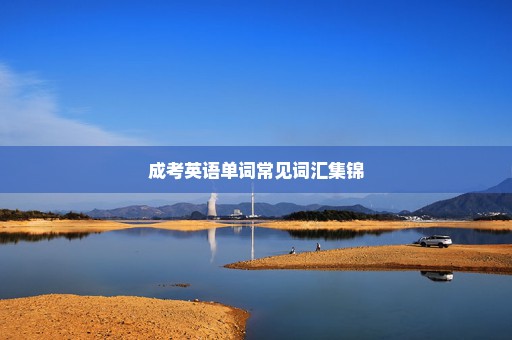 成考英语单词常见词汇集锦