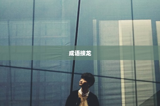 成语接龙