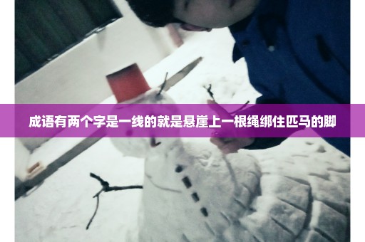 成语有两个字是一线的就是悬崖上一根绳绑住匹马的脚