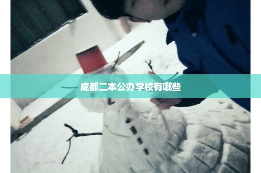 成都二本公办学校有哪些