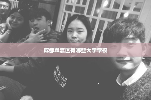 成都双流区有哪些大学学校