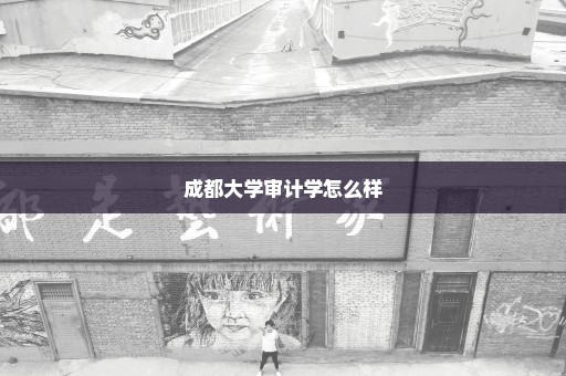 成都大学审计学怎么样
