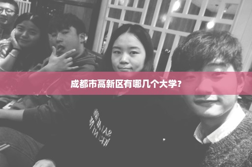 成都市高新区有哪几个大学？