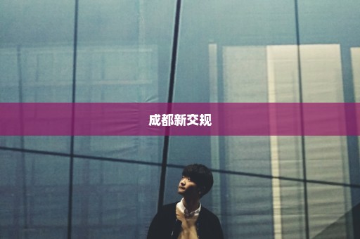 成都新交规