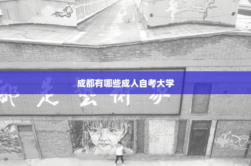 成都有哪些成人自考大学