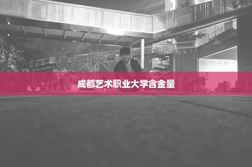 成都艺术职业大学含金量