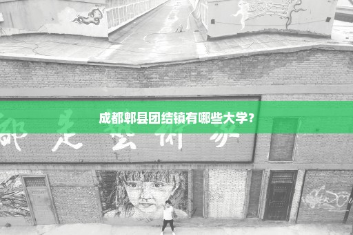 成都郫县团结镇有哪些大学？