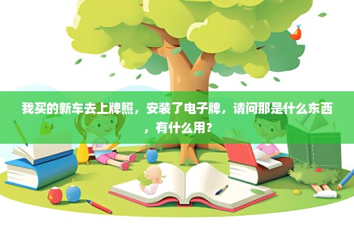 我买的新车去上牌照，安装了电子牌，请问那是什么东西，有什么用？