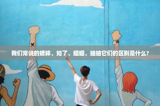 我们常说的蟋蟀、知了、蝈蝈、蛐蛐它们的区别是什么?
