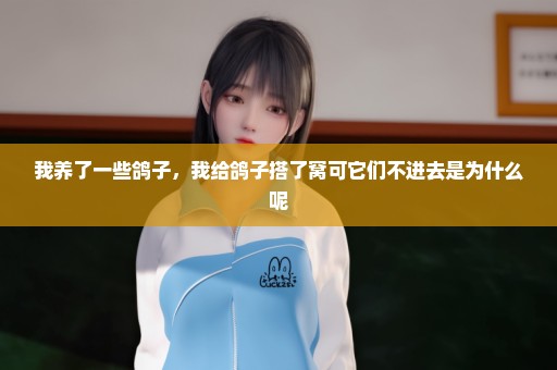 我养了一些鸽子，我给鸽子搭了窝可它们不进去是为什么呢