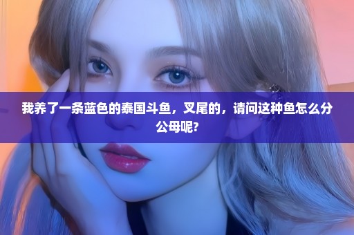 我养了一条蓝色的泰国斗鱼，叉尾的，请问这种鱼怎么分公母呢?