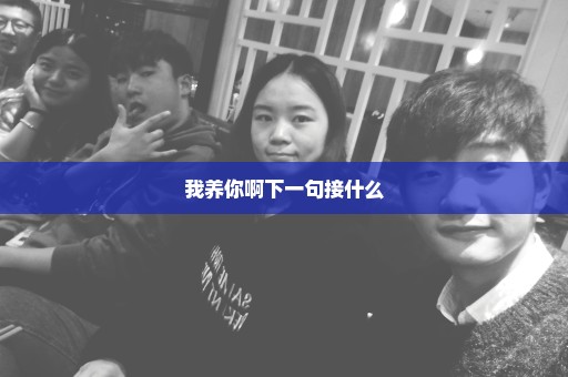 我养你啊下一句接什么