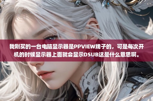 我刚买的一台电脑显示器是PPVIEW牌子的，可是每次开机的时候显示器上面就会显示DSUB这是什么意思啊。