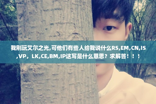 我刚玩艾尔之光,可他们有些人给我说什么RS,EM,CN,IS,VP，LK,CE,BM,IP这写是什么意思？求解答！！！