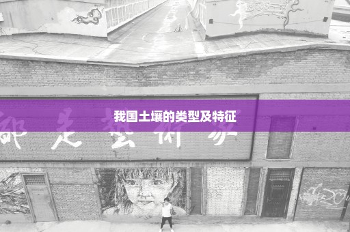 我国土壤的类型及特征