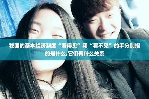我国的基本经济制度“看得见”和“看不见”的手分别指的是什么,它们有什么关系
