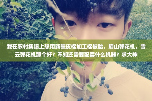我在农村集镇上想用新疆皮棉加工棉被胎，眉山弹花机，雪云弹花机那个好？不知还需要配套什么机器？求大神