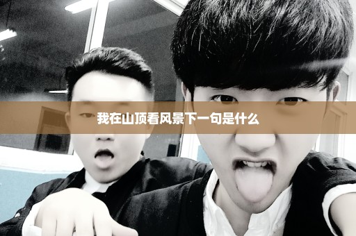 我在山顶看风景下一句是什么