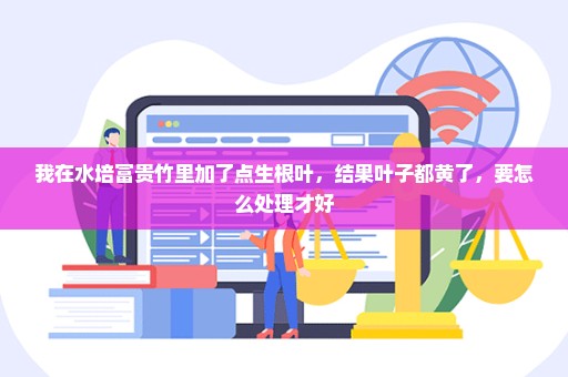 我在水培富贵竹里加了点生根叶，结果叶子都黄了，要怎么处理才好