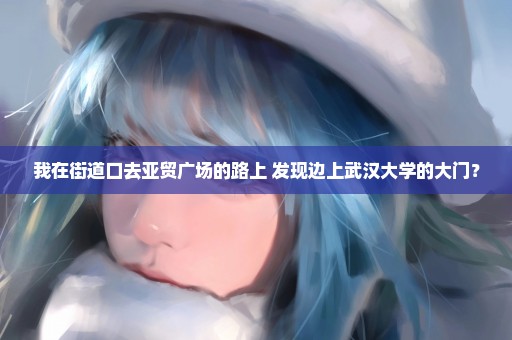 我在街道口去亚贸广场的路上 发现边上武汉大学的大门？