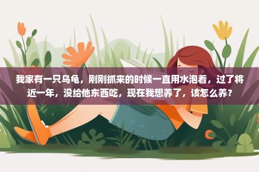 我家有一只乌龟，刚刚抓来的时候一直用水泡着，过了将近一年，没给他东西吃，现在我想养了，该怎么养？