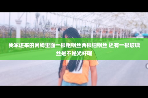 我家进来的网线里面一根粗钢丝两根细钢丝 还有一根玻璃丝是不是光纤呢
