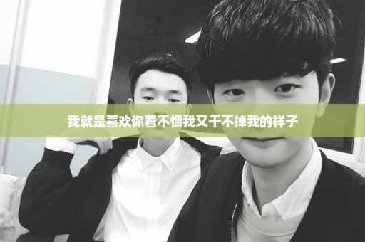 我就是喜欢你看不惯我又干不掉我的样子