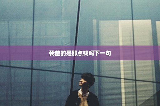 我差的是那点钱吗下一句