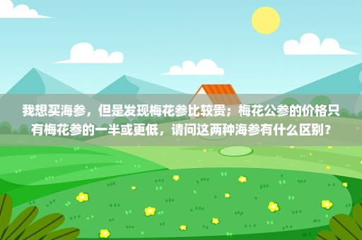 我想买海参，但是发现梅花参比较贵；梅花公参的价格只有梅花参的一半或更低，请问这两种海参有什么区别？