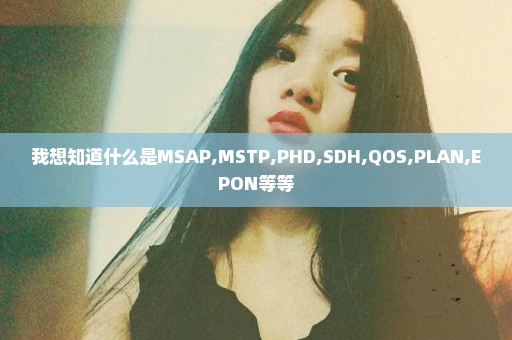 我想知道什么是MSAP,MSTP,PHD,SDH,QOS,PLAN,EPON等等