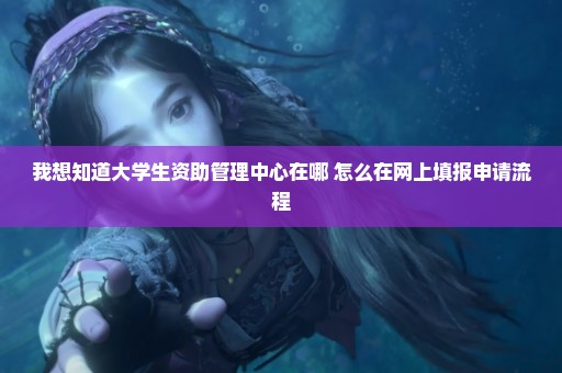我想知道大学生资助管理中心在哪 怎么在网上填报申请流程