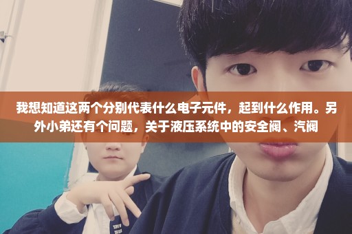 我想知道这两个分别代表什么电子元件，起到什么作用。另外小弟还有个问题，关于液压系统中的安全阀、汽阀