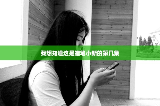 我想知道这是蜡笔小新的第几集