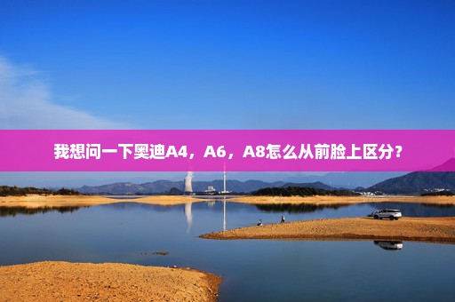 我想问一下奥迪A4，A6，A8怎么从前脸上区分？