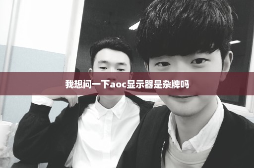 我想问一下aoc显示器是杂牌吗