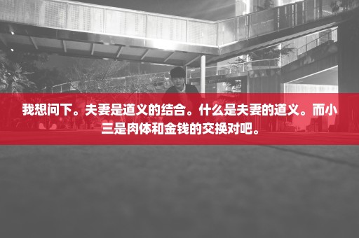 我想问下。夫妻是道义的结合。什么是夫妻的道义。而小三是肉体和金钱的交换对吧。
