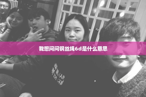 我想问问钢丝绳6d是什么意思